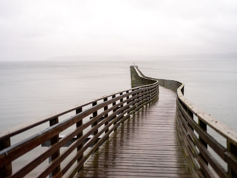 The Indianola dock stretches out into the Puget Sound. Since time immemorial, the Suquamish Tribe has sourced their sustenance, folklore, and community from the salt waters and pebbly beaches of the sound.
Photo by Julian White-Davis