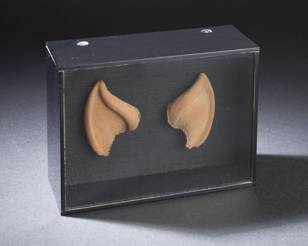 Prosthetic ear tips in black box