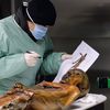 How Did Ötzi the Iceman Get His Tattoos? Archaeologists and Tattoo Artists Unravel the Mystery icon