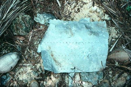 Did this piece of debris come from Amelia Earhart's plane? Some think so; others disagree. 