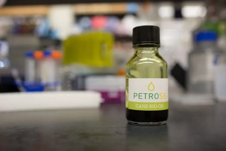 A bottle of oil produced from PETROSS lipidcane