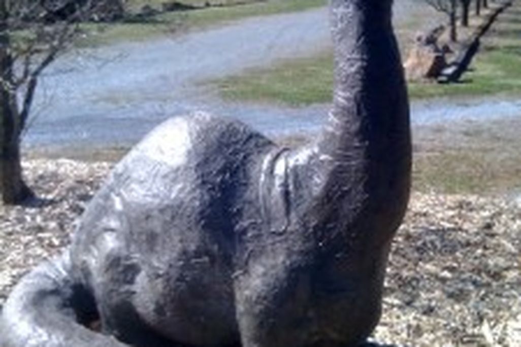 20110520083220brontosaur-campground-photo-225x300.jpg