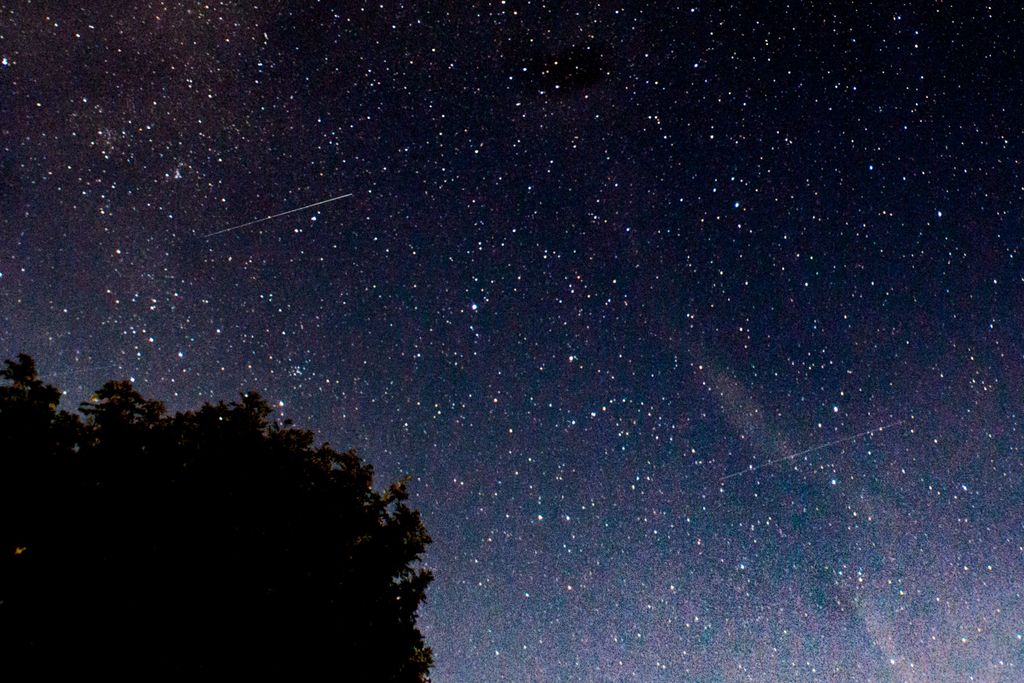 perseid