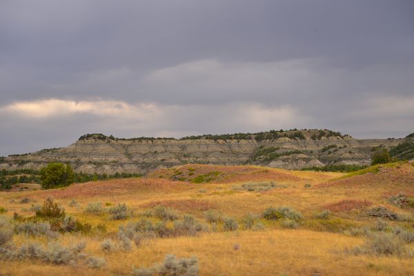 Colors at Teddy Roosevelt National Park thumbnail