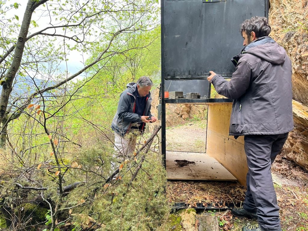 Balkan Lynx Box Trap