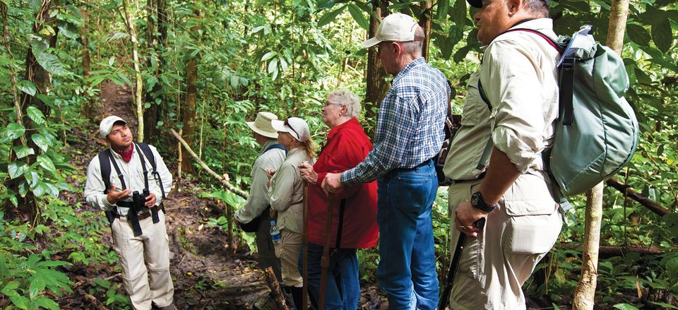  Exploring the Pacaya-Samiria Reserve with an expert tour guide 