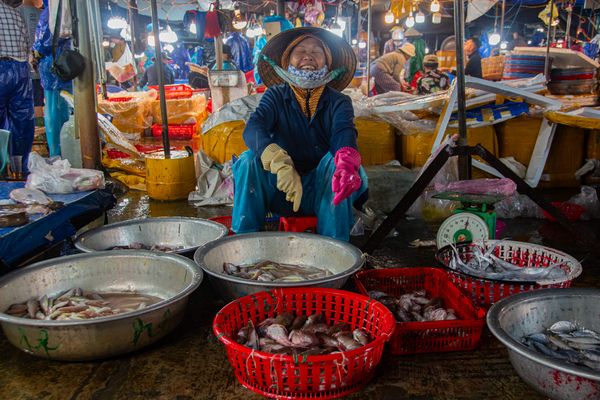 Morning Catch thumbnail