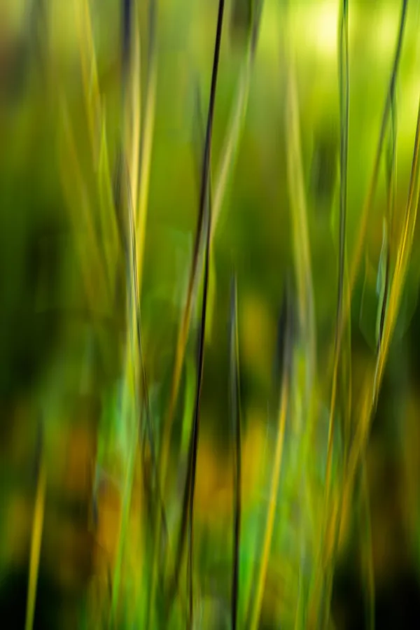 Mette Klint Artistic 2-5 thumbnail