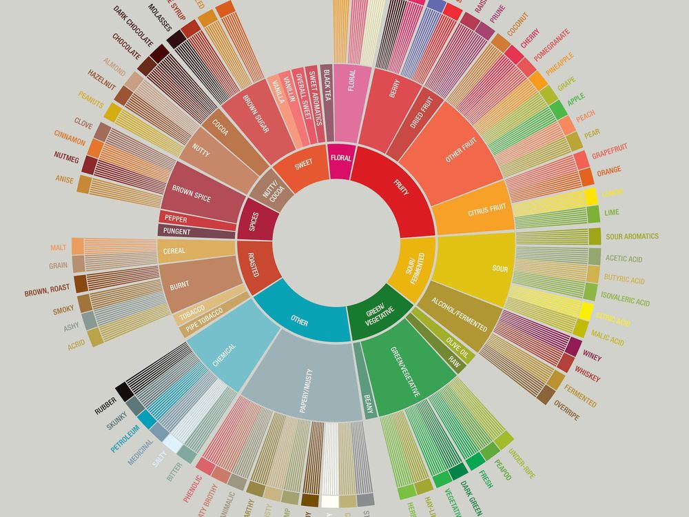 SCAA Flavor Wheel