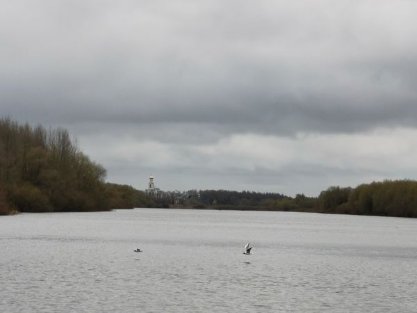 Gray brightness thumbnail