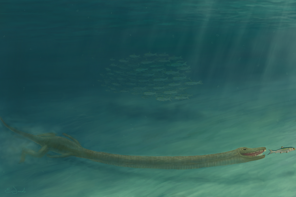 Tanystropheus hydroides hunting