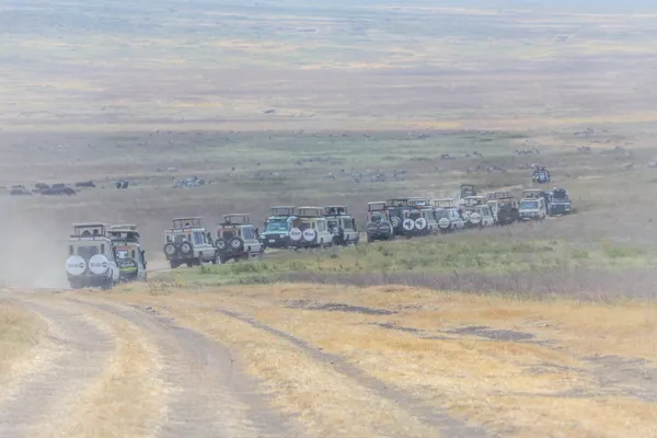 Game drive in Serengeti thumbnail