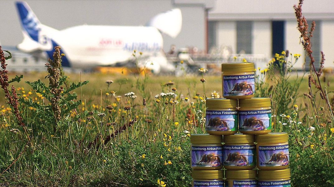 honey cans in front of airplane and plants