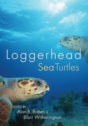 Preview thumbnail for 'Loggerhead Sea Turtles