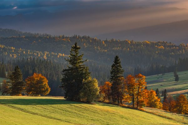 Autumn in the Tatra Mountains, Carpathians, Slovakia thumbnail