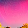 Timelapse photo of a bright pink night sky with the trails of stars creating concentric white circles. Tops of trees are lit up yellow at the bottom of the photo.