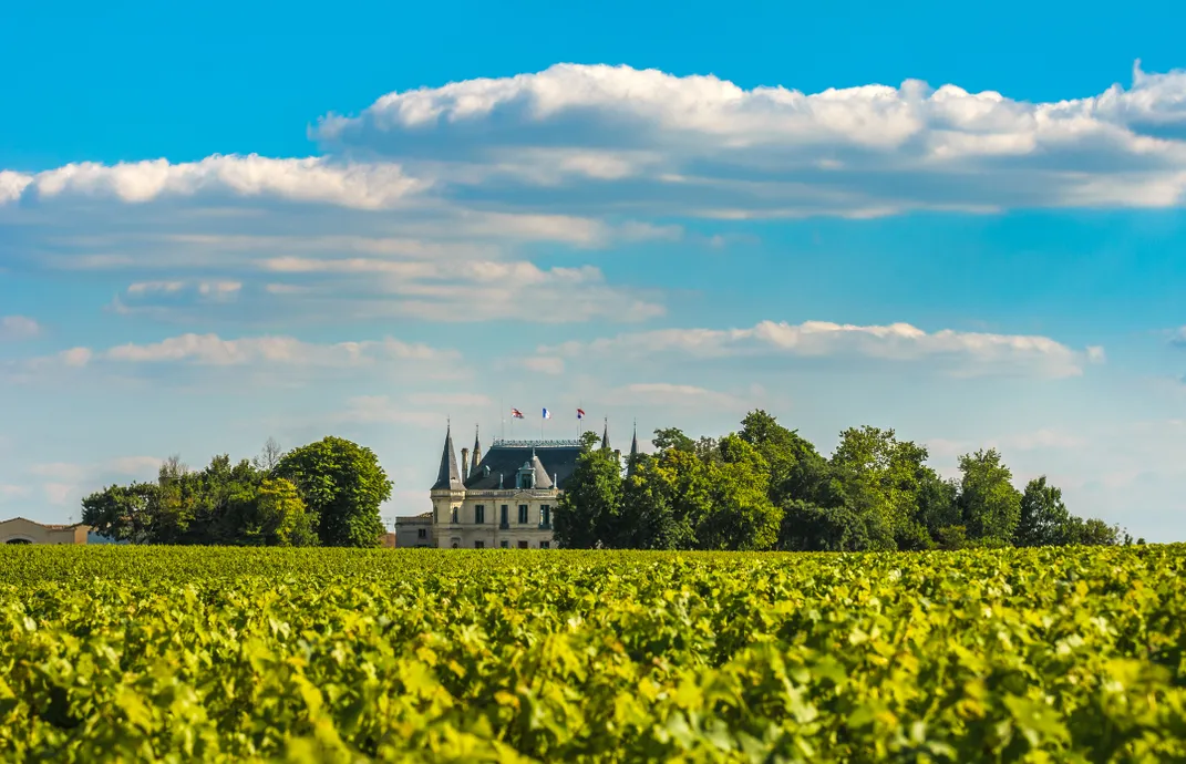 Vineyards and chateau in Bordeaux