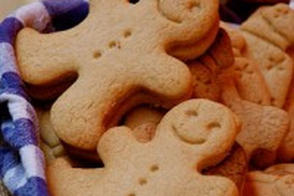 20110520085959gingerbread-200x300.jpg