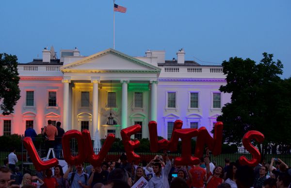 "Love Wins" with Obergefell v. Hodges SCOTUS Case, in front of White House. thumbnail