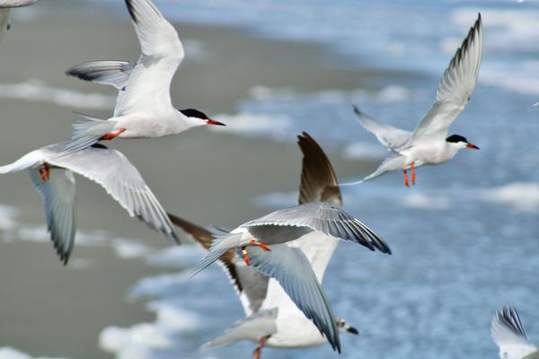 Beautifully chaotic thumbnail