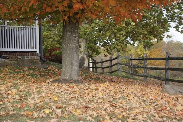 All things fall thumbnail