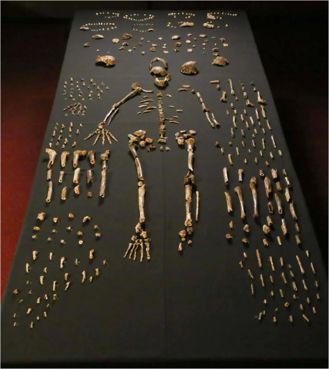 skeleton