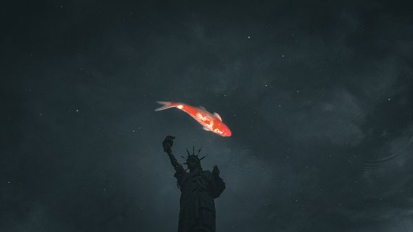 Empire state of Koi thumbnail