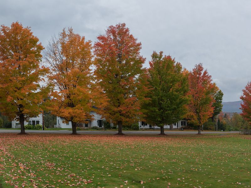 Irasburg, Vermont Smithsonian Photo Contest Smithsonian Magazine