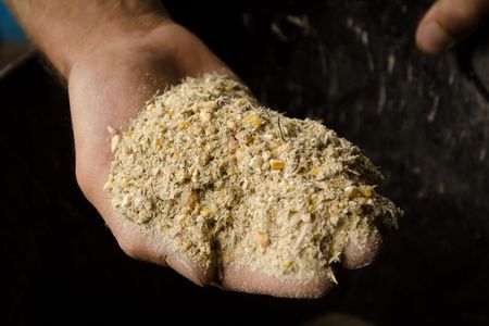 Organic chicken feed.