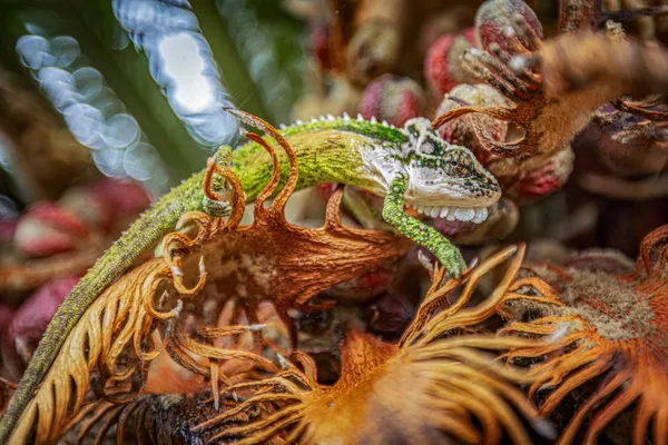 Chameleon Cycad Camouflage thumbnail
