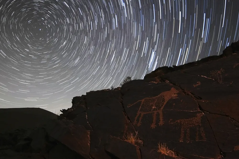 animal carvings on stone under a night sky