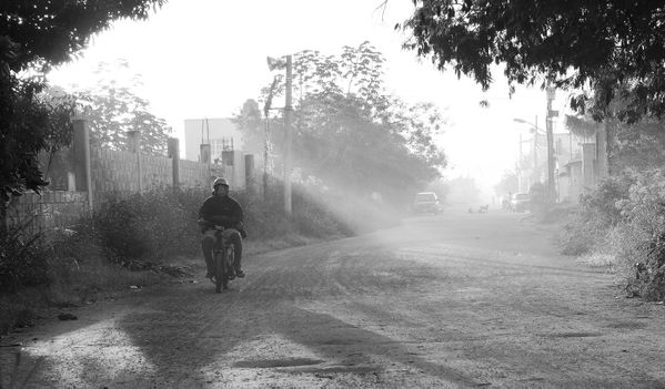 Hazy Morning on the Island thumbnail