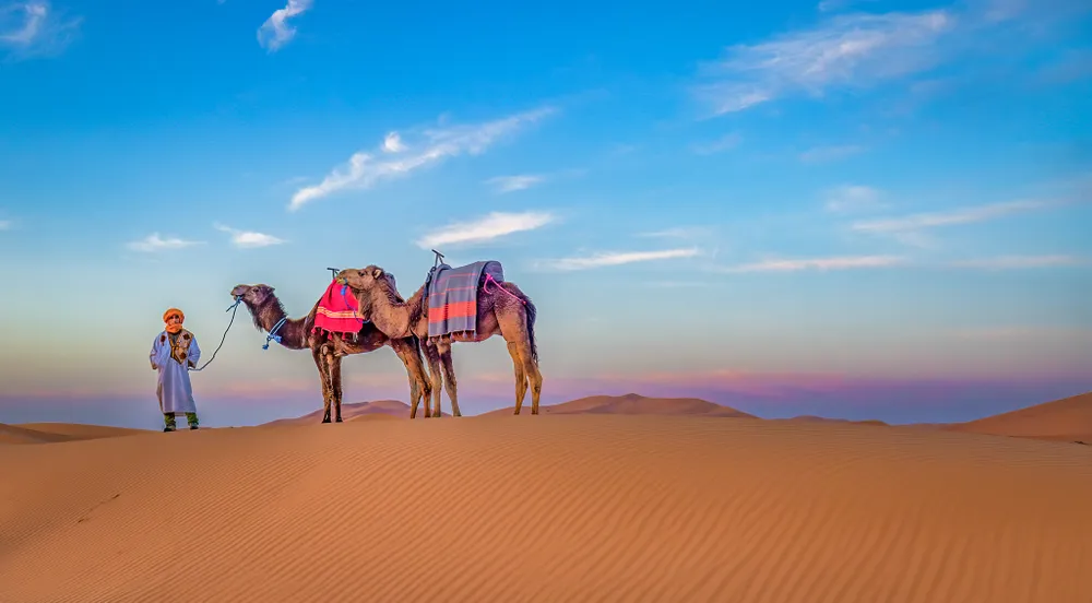 This was an image of a young Berber man. These people are often taken advantage of by the locals. This boy/man had to walk miles in the desert to pick up these camels and then walk hours with them with no pay. Only the hopes of tips and selling his handcrafts to customers.