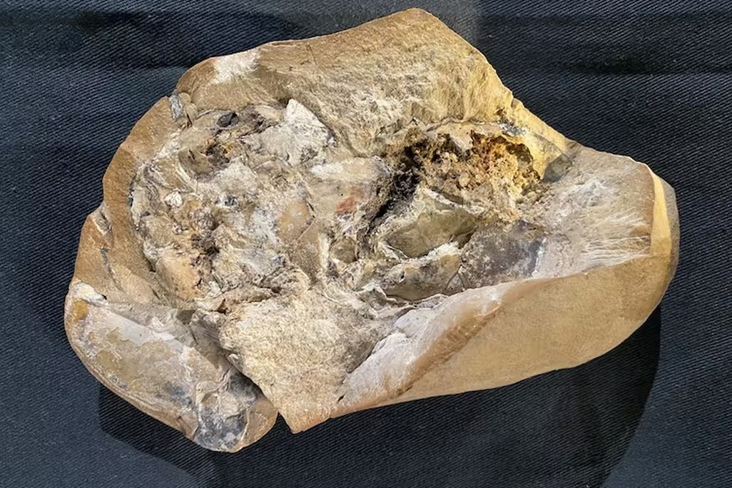 A rock on a black background