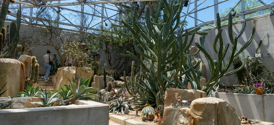  Conservatory of succulents, San Antonio Botanical Gardens. Credit: San Antonio Botanical Gardens