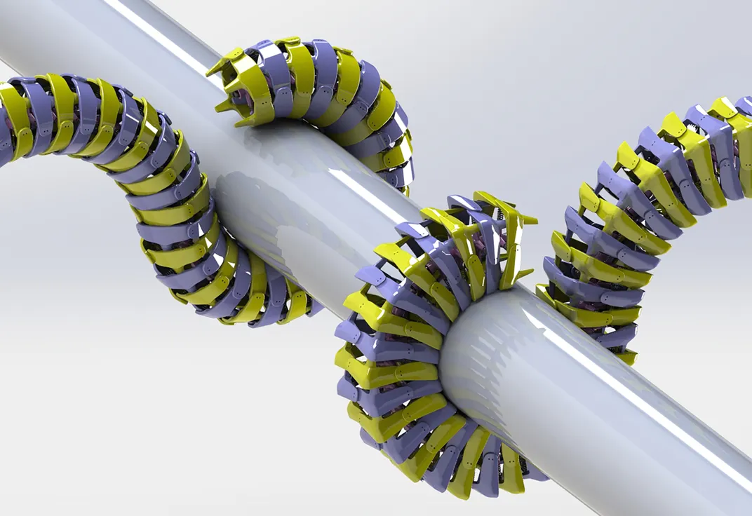 Models of the cylindrical tail, left, and the square-prism tail. (Michael M Porter, Clemson University)