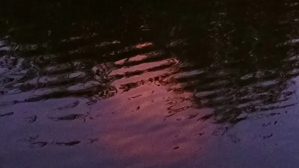 Sunset on the Albufera thumbnail