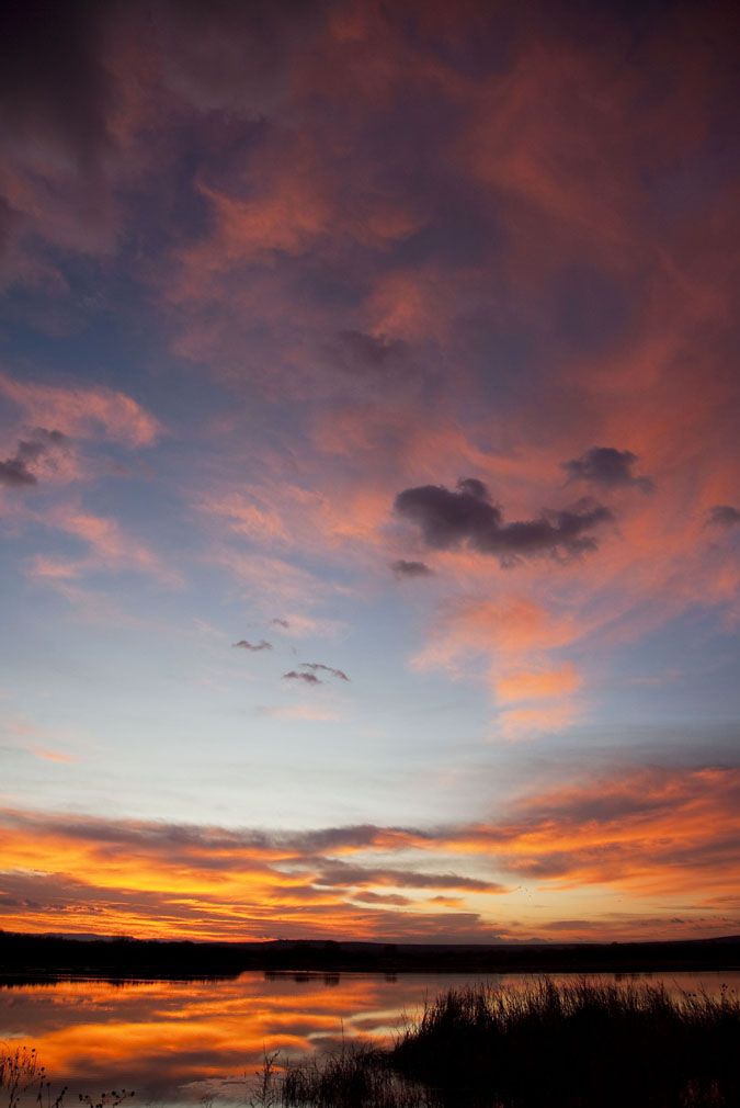 Sunrise At Bosque Del Apache Smithsonian Photo Contest Smithsonian