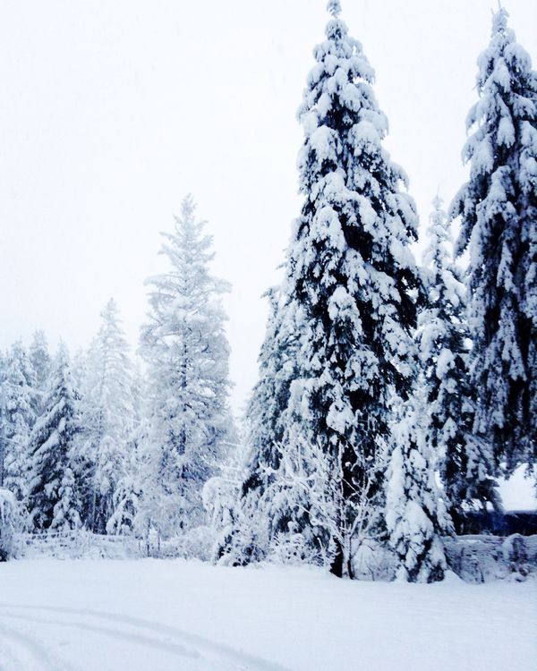 Snow Days thumbnail