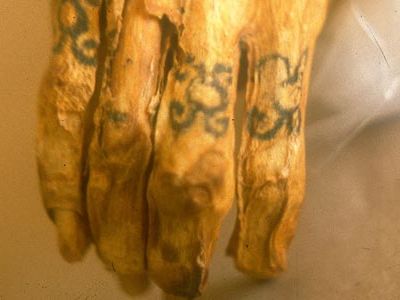 The tattooed right hand of a Chiribaya mummy is displayed at El Algarrobal Museum, near the port of Ilo in southern Peru. The Chiribaya were farmers who lived from A.D. 900 to 1350.