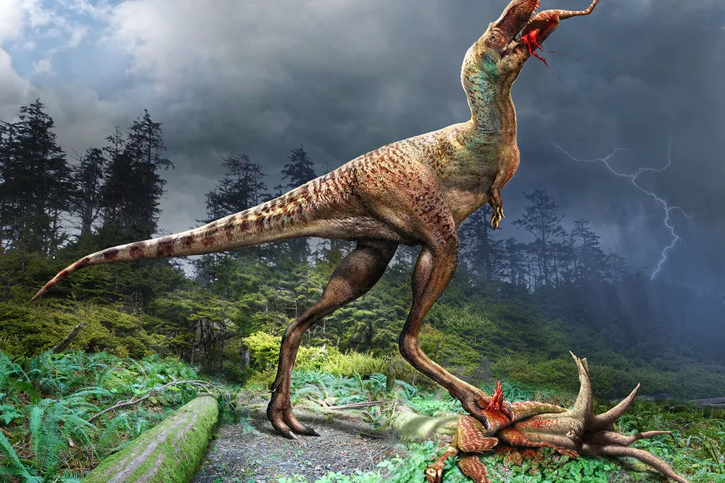 Gorgosaurus