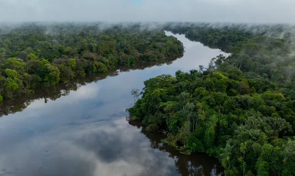 The flooded forest of Mamirauá thumbnail