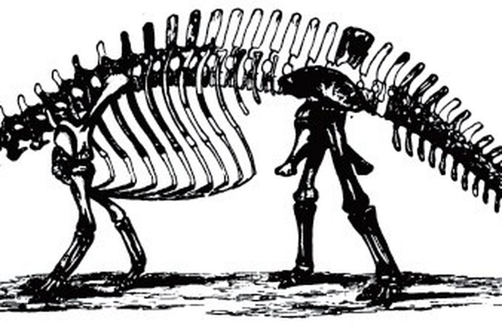 20110520083311brontosaurus.jpg