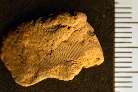 The find marks the first ancient fingerprint recorded at the Ness of Brodgar archaeological site.
