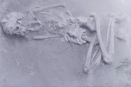 Ancient human remains and shell accessories found at the Hirota burial site