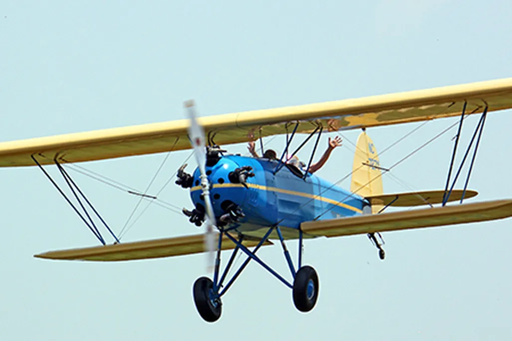Bird631x300.jpg