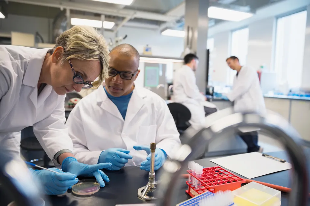 Scientists doing science