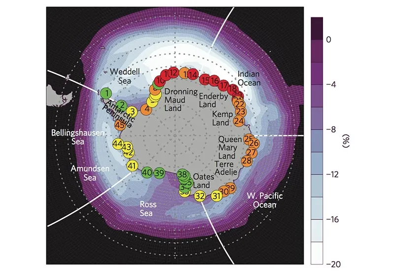 Penguin Colony Map