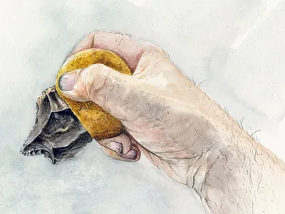 An artist&#39;s illustration of how a Neanderthal may have used an early stone tool, with a handle made from an adhesive mixture of ocher and bitumen.