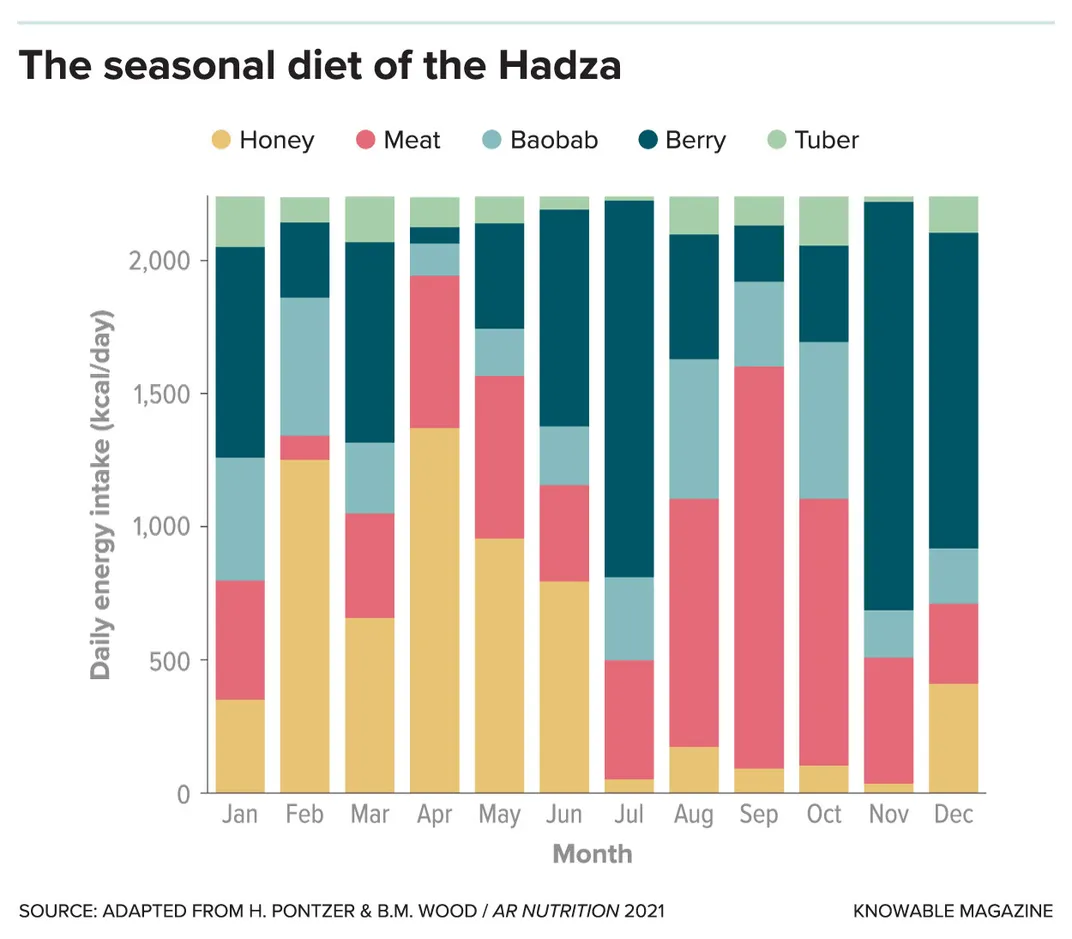 Hadza Seasonal Diet Chart